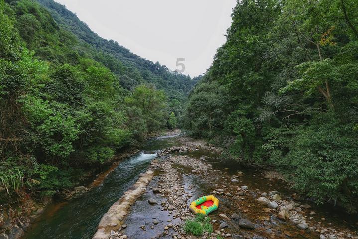 动物帮帮忙保卫家园
