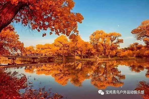 不知道算不算和好?-打开知识星球的窗口